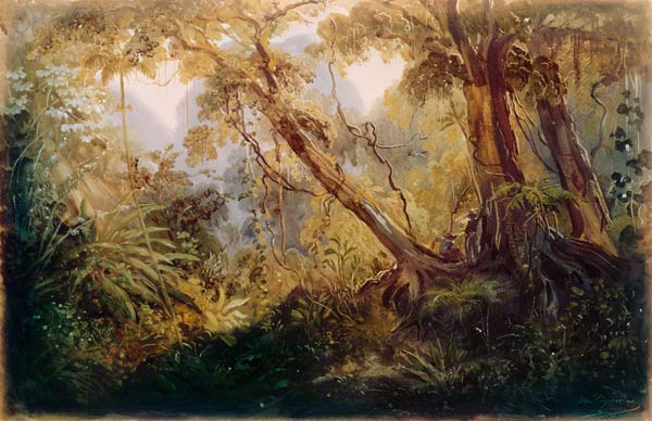 Jungle from Johann Moritz Rugendas