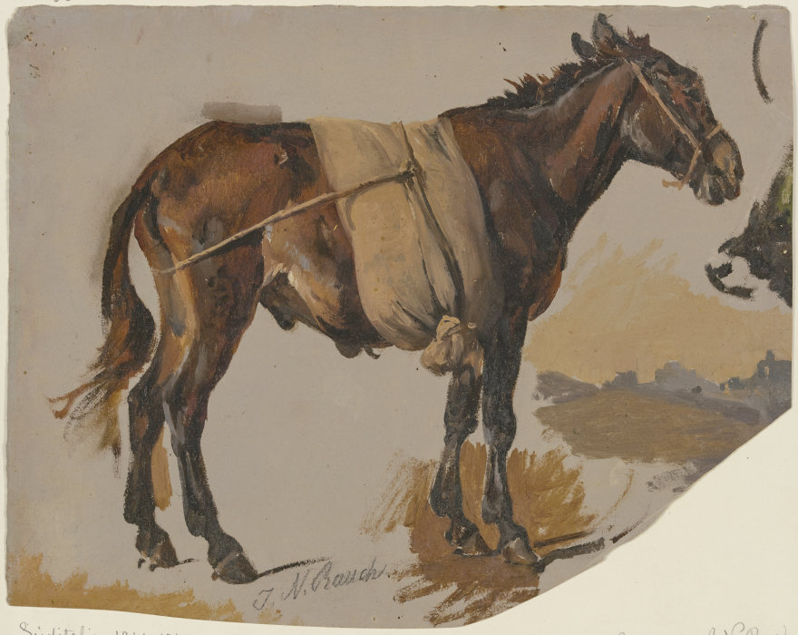 A mule from Johann Nepomuk Rauch