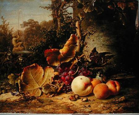 Fruit and Sparrows from Johann Wilhelm Preyer