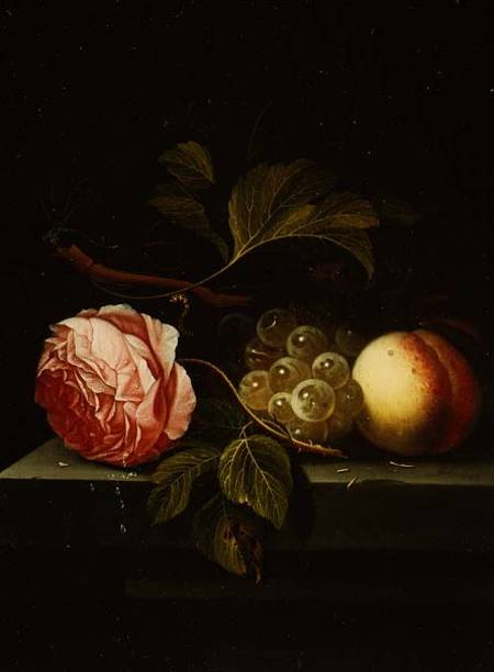 A Still Life with a Rose, Grapes and Peach from Johannes Borman