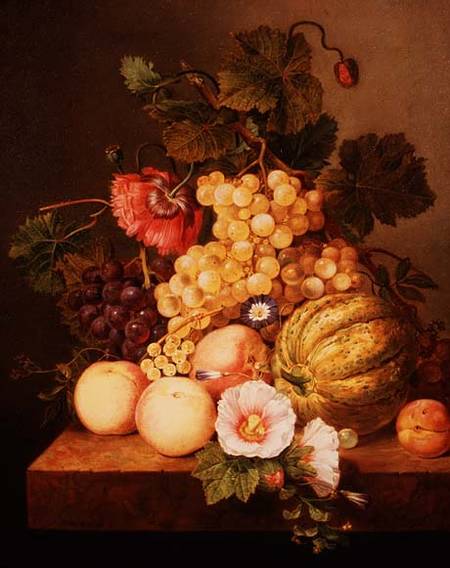 Still life with fruit from Johannes Cornelis Bruyn
