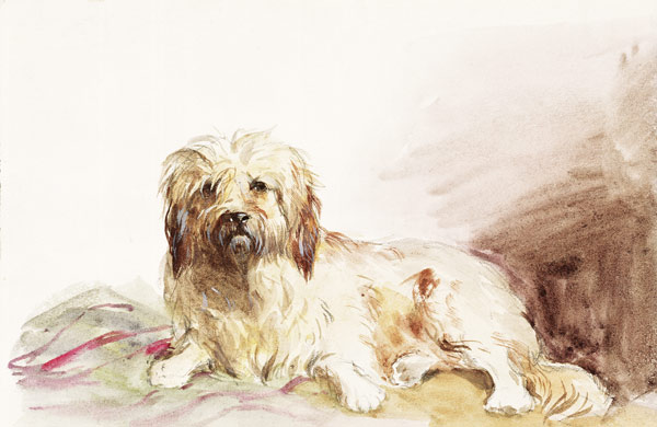 The Artist's Dog from John Adam P. Houston