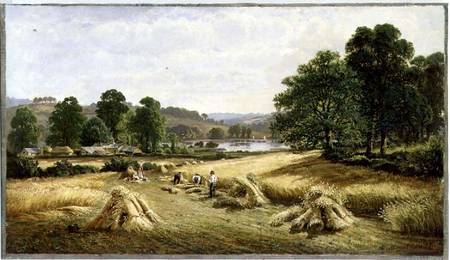 Gathering the Golden Grain near Bishopsteignton, Plymouth from John Barrett