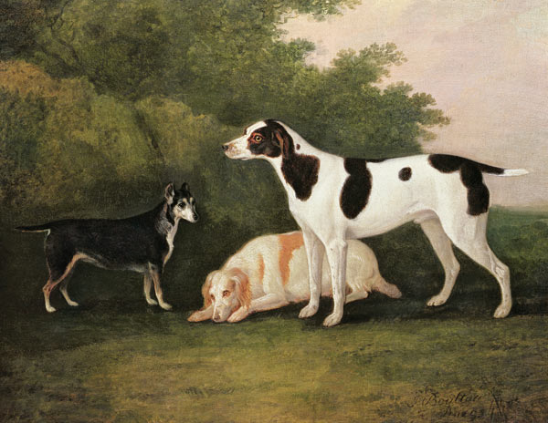 Three Dogs in a Landscape from John Boultbee