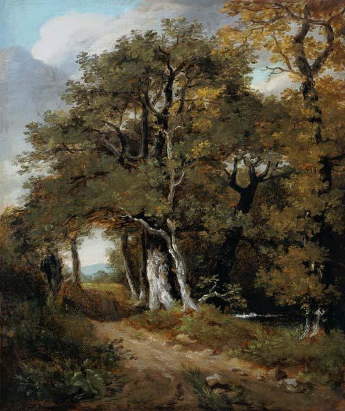 J.Constable, A Woodland Scene, c.1801.