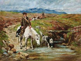 Horse and Spaniel Drinking from a Stream