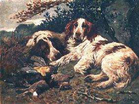 A Pair of Liver and White Clumber Spaniels by the Day's Bag