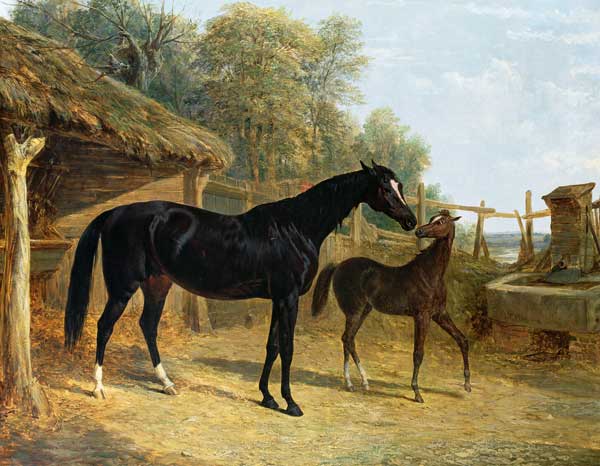 Levity, the property of J.C.Cockerill Esq., with her foal Queen Elizabeth, the property of Lord Dorc from John Frederick Herring d.Ä.