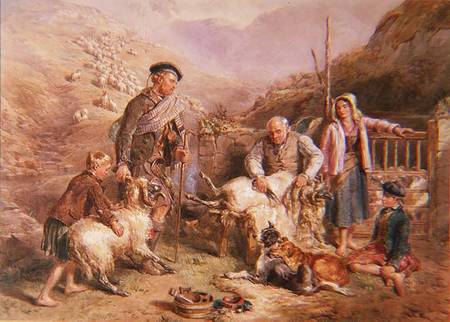 Sheep Shearing from John Frederick Tayler