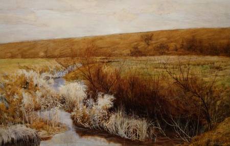 A Meadow in Winter from John George Sowerby