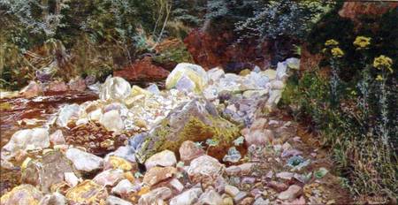 A Rocky Stream from John George Sowerby