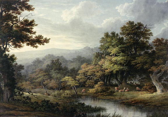Forest Glade with Pool and Deer (w/c on paper) from John Glover