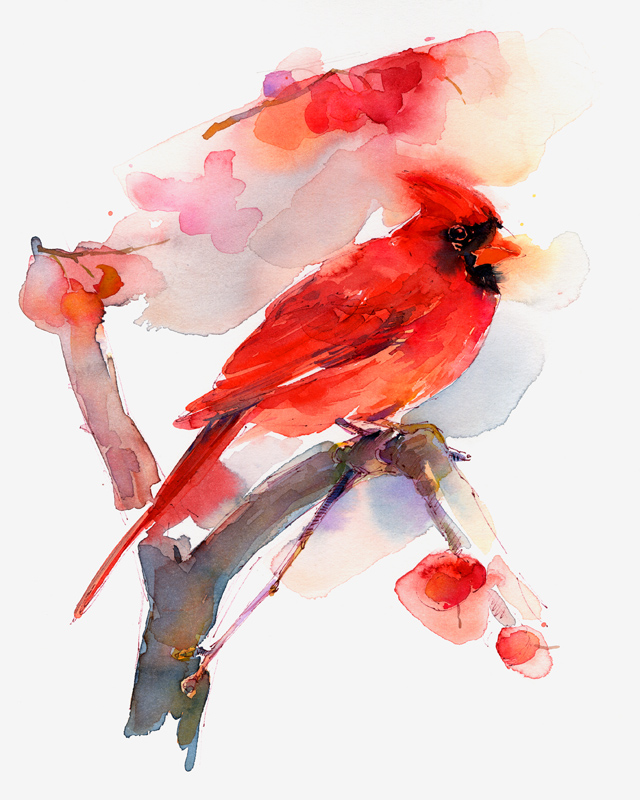 Red cardinal from John Keeling