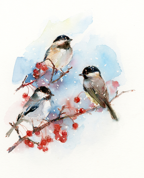 Chickadees with Berries from John Keeling