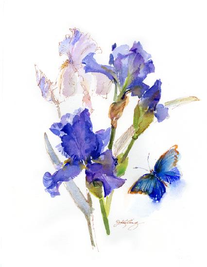 Iris with blue butterfly