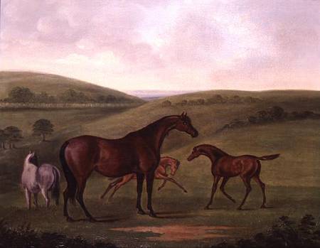 Mare with Foals in a Landscape from John Nost Sartorius