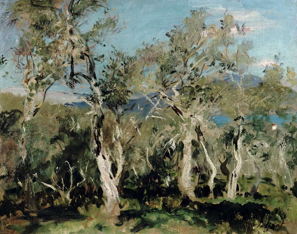 Olives, Corfu from John Singer Sargent