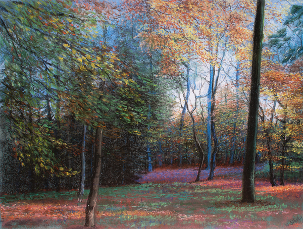 Autumn in the Woods from Margo Starkey