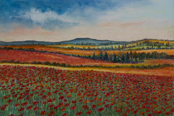 Poppy fields..Flanders from Margo Starkey