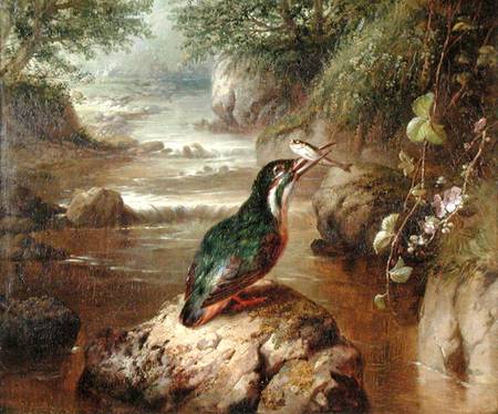 The Haunt of the Kingfisher from John Wainwright