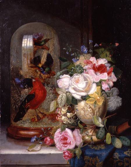 A Still Life with Roses in a Vase beside Exotic Birds in a Glass Case from John Wainwright