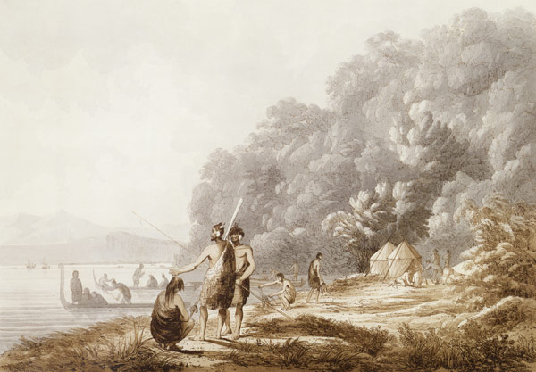 View in Queen Charlotte's Sound, New Zealand, from 'Views in the South Seas', pub. 1790 (etching) from John Webber