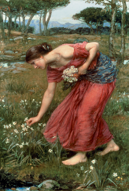 Narcissus from John William Waterhouse