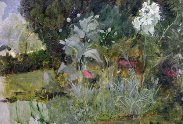 Study of Flowers and Foliage, for 'The Enchanted Garden' from John William Waterhouse