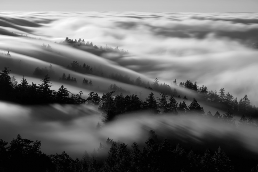 Bathing in the fog from Johnny Zhang