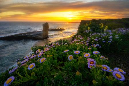 Sunset On The Coast