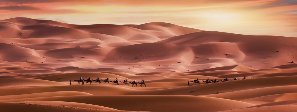 Walk through the desert from Jorge Ruiz Dueso