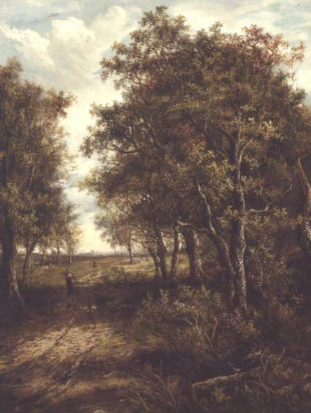 A Clearing in the Woods from Joseph Thors