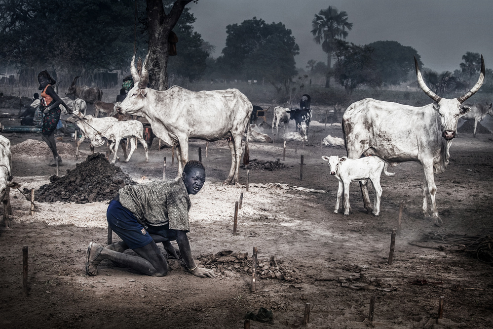 A scene in a mundari cattle camp-I - South Sudan from Joxe Inazio Kuesta Garmendia