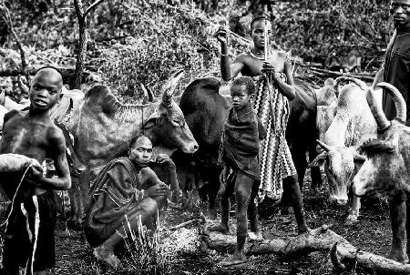 Surma tribe people taking care of the cattle.