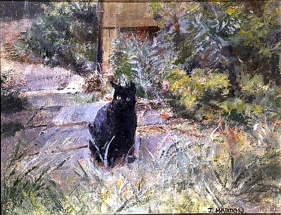 Fat Mog in the Garden (oil on canvas)  from Joyce  Haddon