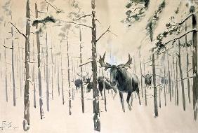 Moose, 1920 (w/c on paper)