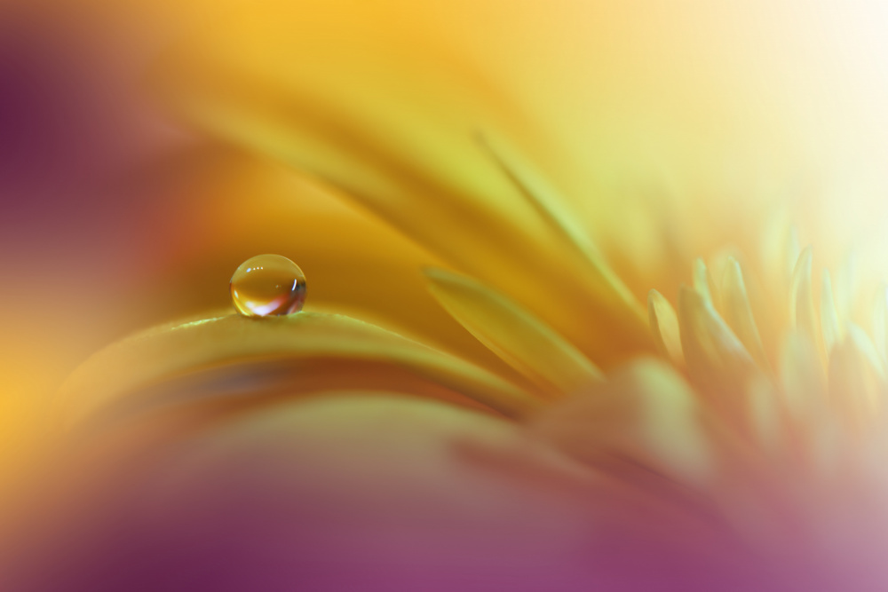 A World Of Color.. from Juliana Nan