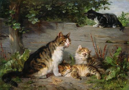 Cat mother with three boys