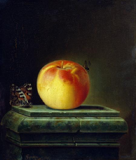 Still Life with Apple and Insects