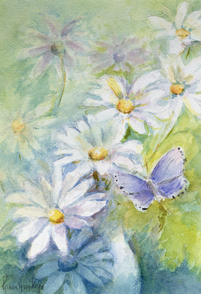 Common Blue (Polyommetus Icarus) on Daisies  from Karen  Armitage