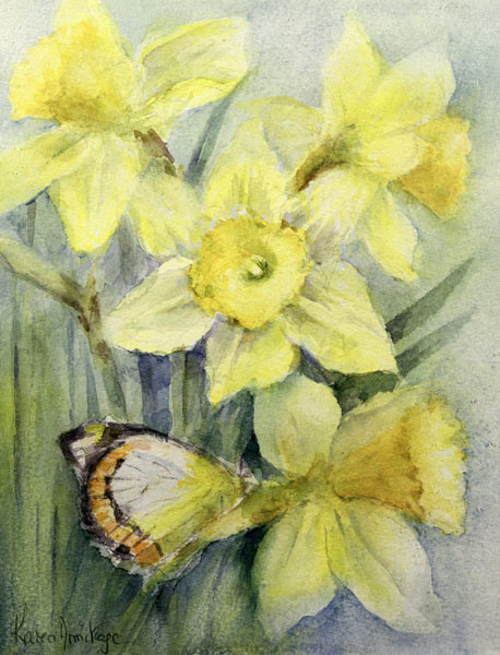 Delias Mysis (Union Jack) Butterfly on Daffodils  from Karen  Armitage
