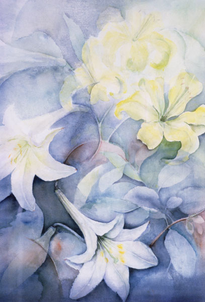 Lilium, Hearts Desire and Imperiale  from Karen  Armitage