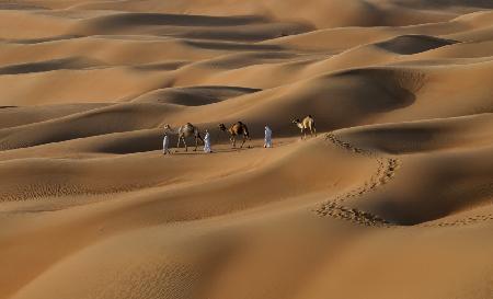 Liwa desert UAE