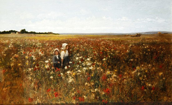 The Poppyfield from Kate Colls
