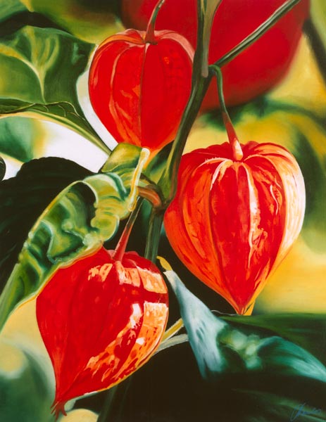 Chinese Lanterns from James Knowles