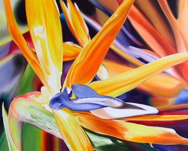 Birds of Paradise