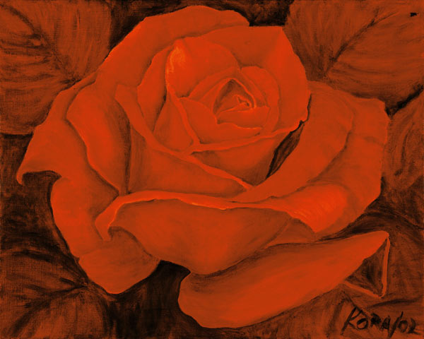 Red Rose Castella from Kora Olbrich