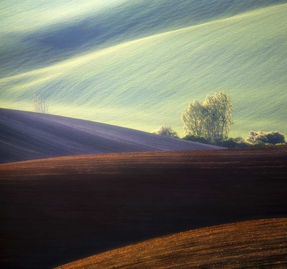 Fields... from Krzysztof Browko