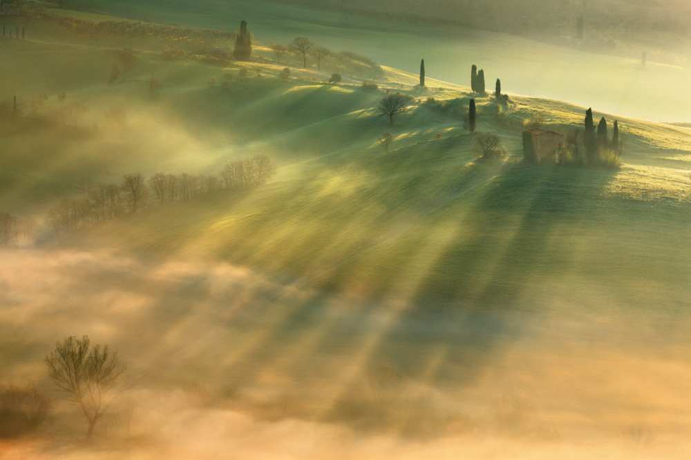 Mist... from Krzysztof Browko