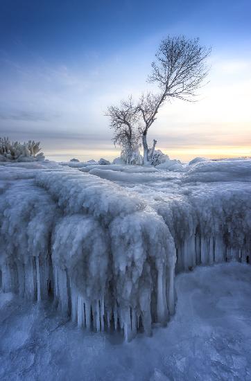 Winter Wonderland